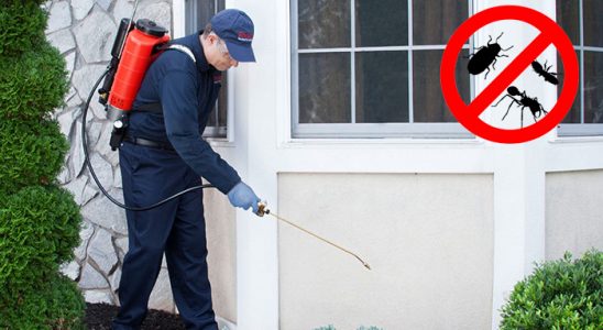 Evka 2 Kene İlaçlama böcek ilaçlama ve haşere kontrolü — ilaclama-tr.com